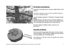 Bäume-Lesetext-SW-3.pdf